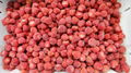 IQF Strawberry,Frozen Strawberries,IQF Whole Strawberry,Sweet Charlie variety