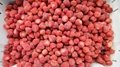 IQF Strawberry,Frozen Strawberries,IQF Whole Strawberry,Sweet Charlie variety 7