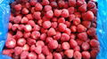 IQF Strawberry,Frozen Strawberries,IQF Whole Strawberry,Sweet Charlie variety