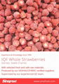 IQF Strawberry,Frozen Strawberries,IQF Whole Strawberry,Sweet Charlie variety 13