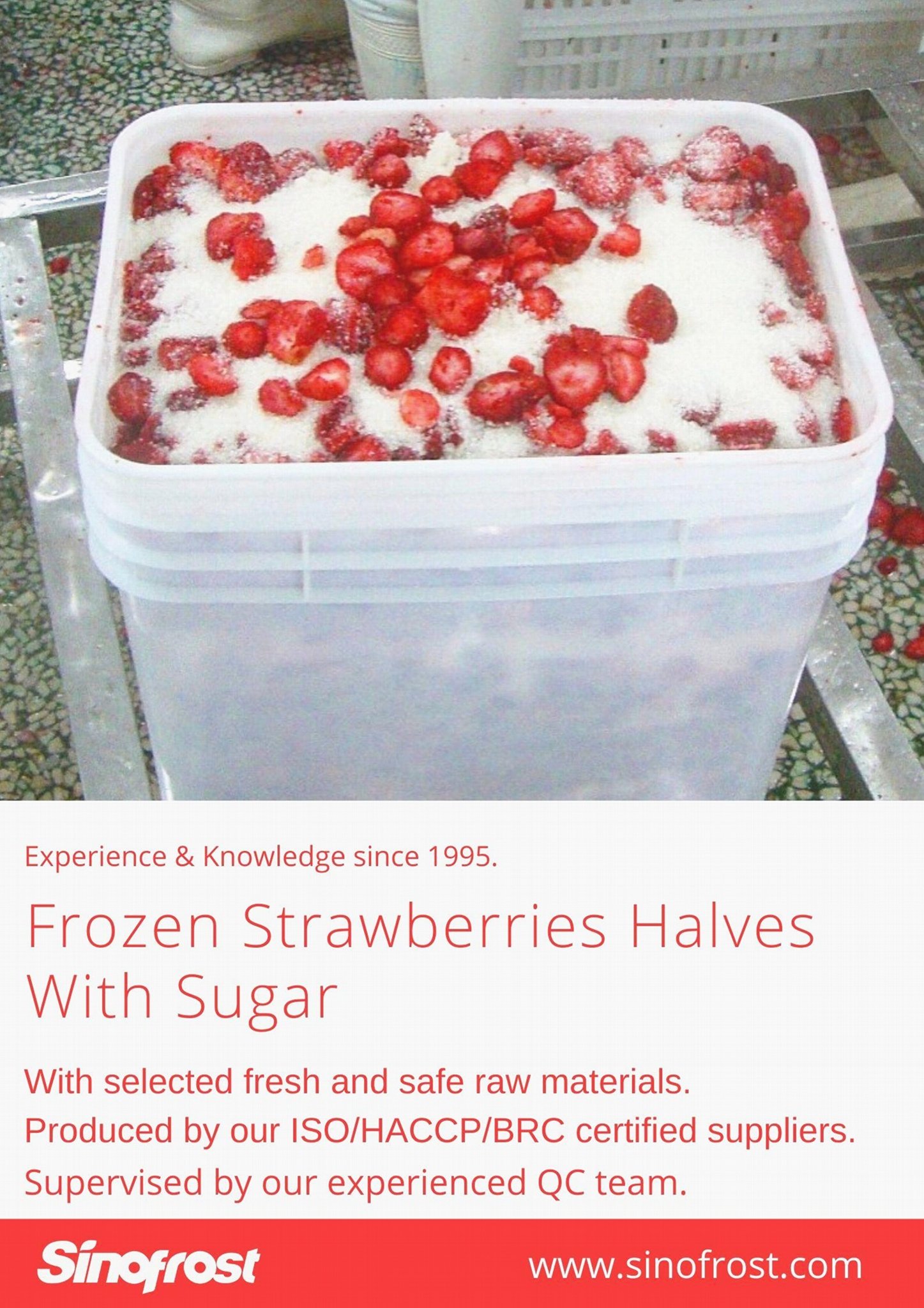 IQF Strawberries,Frozen Whole Strawberries,IQF Strawberry,American no.13 variety 13