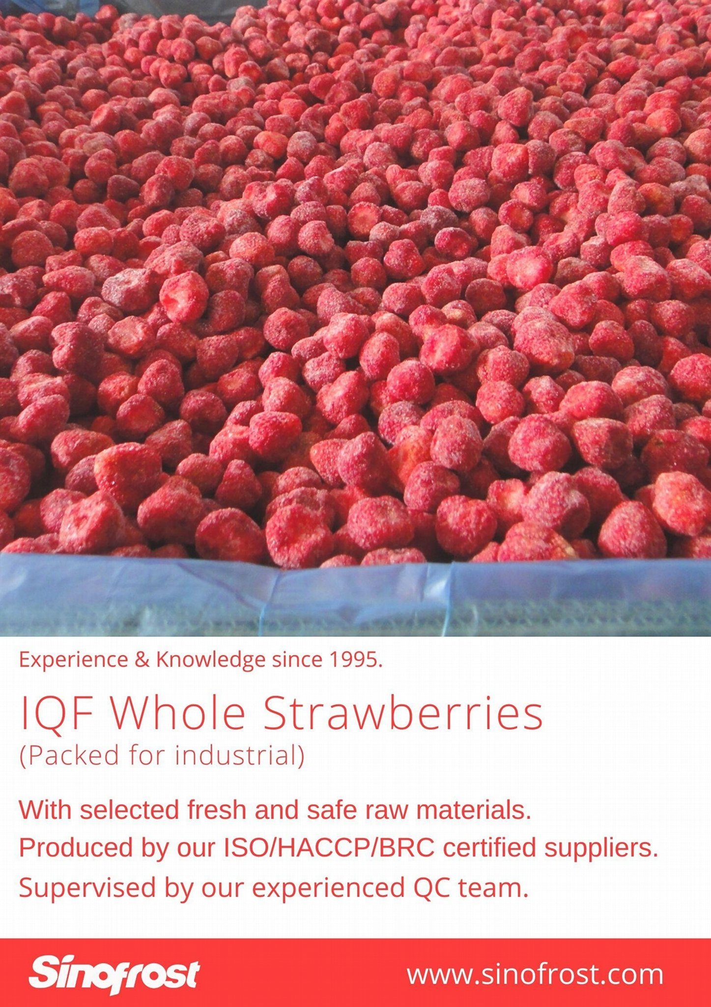 IQF Strawberries,Frozen Whole Strawberries,IQF Strawberry,American no.13 variety 15