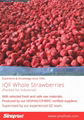 IQF Strawberries,Frozen Whole Strawberries,IQF Strawberry,American no.13 variety