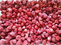 Frozen Strawberry Brokens,IQF Strawberry Brokens,jam quality,all red color 14