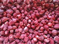 Frozen Strawberry Brokens,IQF Strawberry Brokens,jam quality,all red color 15