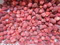 IQF Strawberry,Frozen Strawberry,IQF Strawberries,Frozen Strawberries,Grade A+B 2