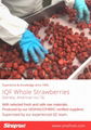 IQF Strawberry,Frozen Strawberry,IQF Strawberries,Frozen Strawberries,Grade A+B 13