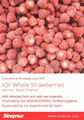 IQF Strawberry,Frozen Strawberry,IQF Strawberries,Frozen Strawberries,Grade A+B