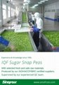 IQF Sugar Snap Peas,Frozen Sugar Snap Peas,IQF frozen Sweet Beans 12