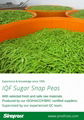 IQF Sugar Snap Peas,Frozen Sugar Snap Peas,IQF frozen Sweet Beans 13