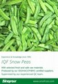 IQF Pea Pods,IQF Snow Peas,Frozen Pea Pods,IQF Frozen Peapods 15