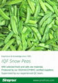 IQF Pea Pods,IQF Snow Peas,Frozen Pea Pods,IQF Frozen Peapods