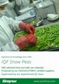 IQF Pea Pods,IQF Snow Peas,Frozen Pea Pods,IQF frozen peapods