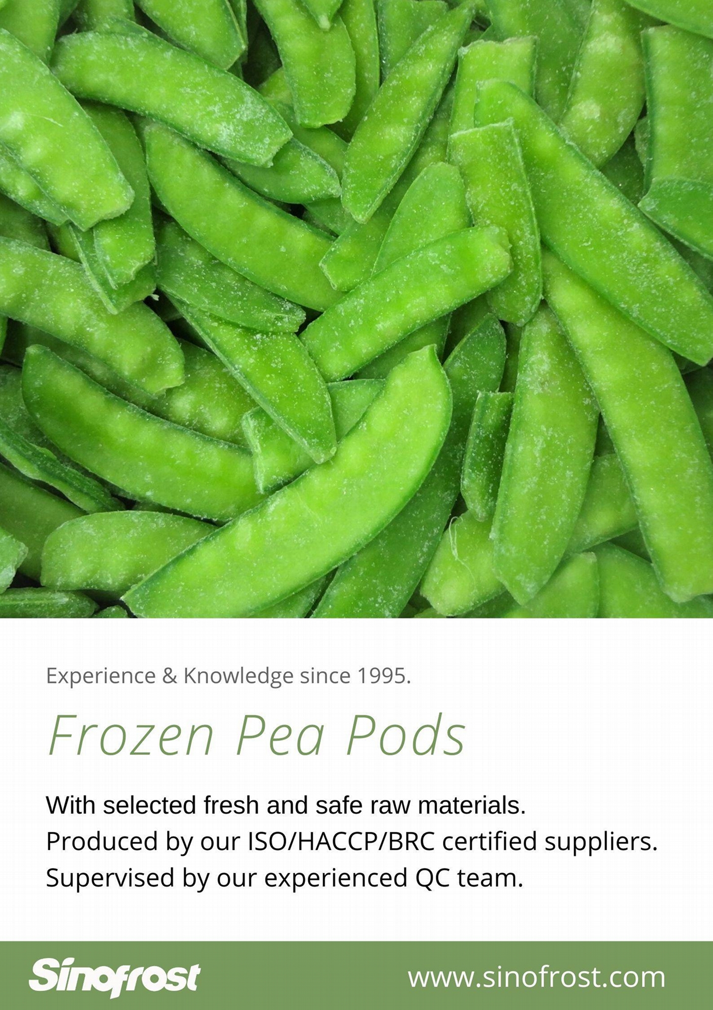IQF Pea Pods ,IQF Snow Peas,Frozen Pea Pods SFFVPP the buyers