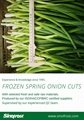 new crop IQF spring onions slices,IQF cut spring onions,IQF green onions dices