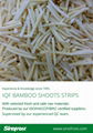 IQF bamboo shoots strips,Frozen bamboo shoots strips,blanched 18