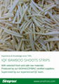 IQF bamboo shoots strips,Frozen bamboo shoots strips,blanched