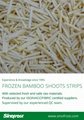 IQF bamboo shoots slices ,Frozen bamboo shoot slices ,IQF sliced bamboo shoots 16