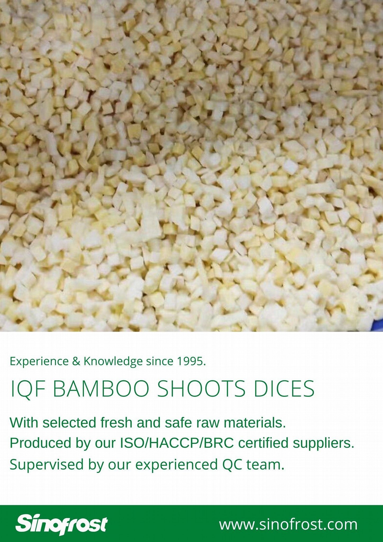 IQF bamboo shoot dices,Frozen bamboo shoot dices,IQF diced bamboo shoots 5