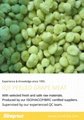 BQF Peeled Seedless Grapes,BQF Grapes Pulp,Frozen Peeled Grapes 14