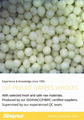 BQF Peeled Seedless Grapes,BQF Grapes Pulp,Frozen Peeled Grapes 15