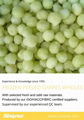 BQF Peeled Seedless Grapes,BQF Grapes Pulp,Frozen Peeled Grapes 16