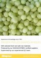 BQF Peeled Seedless Grapes,BQF Grapes Pulp,Frozen Peeled Grapes