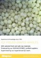 IQF Grapes Wholes,Frozen Grapes Pulp,peeled,seedless 16