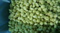 IQF Grapes Wholes,Frozen Grapes Pulp,peeled,seedless 19