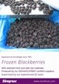 2022 crop IQF blackberries,Frozen Blackberry