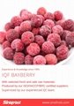 IQF Bayberry,Frozen Bayberries,IQF Waxberry,IQF Arbutus 12