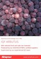 IQF Bayberry,Frozen Bayberries,IQF Waxberry,IQF Arbutus 8