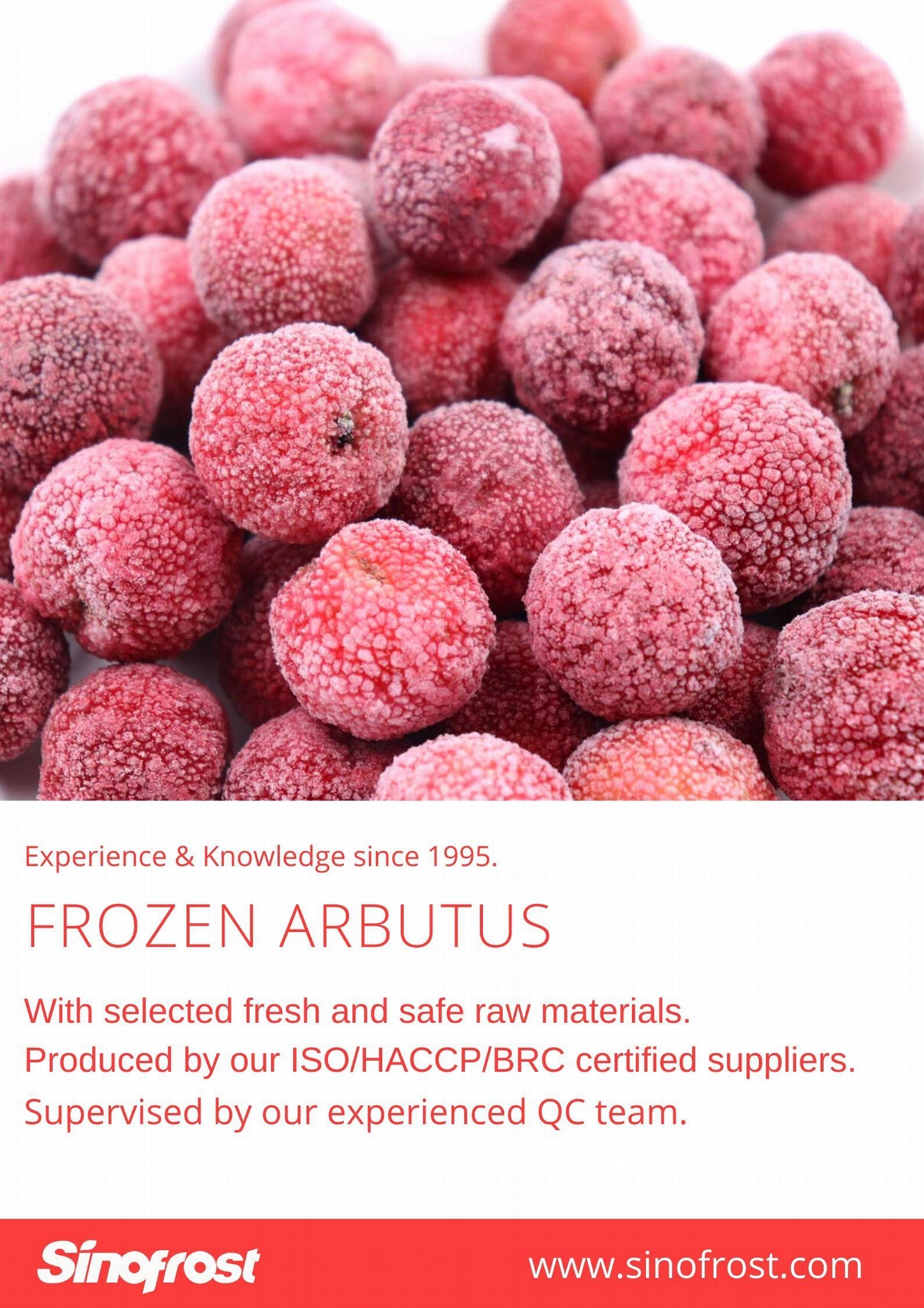 冷冻杨梅 - sfff-bayberry (中国 福建省 贸易商) - 肉类 - 加工食品