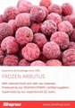 IQF Bayberry,Frozen Bayberries,IQF Waxberry,IQF Arbutus 3