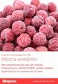 IQF Bayberry,Frozen Bayberries,IQF Waxberry,IQF Arbutus 14