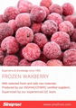 IQF Bayberry,Frozen Bayberries,IQF Waxberry,IQF Arbutus