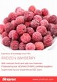 IQF Bayberry,Frozen Bayberries,IQF Waxberry,IQF Arbutus 15