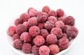 IQF Bayberry,Frozen Bayberries,IQF Waxberry,IQF Arbutus 16