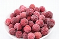 IQF Bayberry,Frozen Bayberries,IQF Waxberry,IQF Arbutus