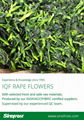 IQF Rape Flower,Frozen Rape Flowers,BQF Rape Flowers