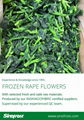 IQF Rape Flower,Frozen Rape Flowers,BQF Rape Flowers 9