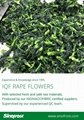 IQF Rape Flower,Frozen Rape Flowers,BQF Rape Flowers 11