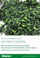 IQF Rape Flower,Frozen Rape Flowers,BQF Rape Flowers