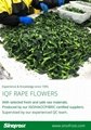 IQF Rape Flower,Frozen Rape Flowers,BQF Rape Flowers 14