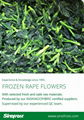 IQF Rape Flower,Frozen Rape Flowers,BQF Rape Flowers 15