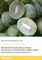 冷凍獼猴桃,速凍獼猴桃 10