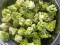 IQF Romanesco Florets,Frozen Romanesco Florets 18