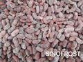 IQF Mixed Kidney Beans,Frozen Mixed Kidney Beans,cooked,ready to eat