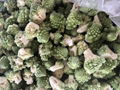 IQF Romanesco Florets,Frozen Romanesco Florets 4