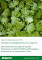 IQF Romanesco Florets,Frozen Romanesco Florets 8